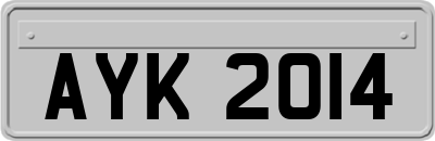 AYK2014