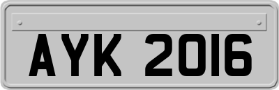 AYK2016