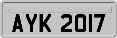 AYK2017