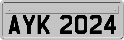 AYK2024