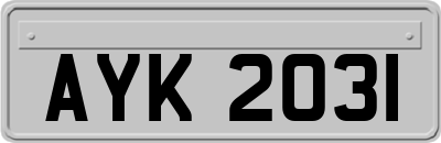 AYK2031