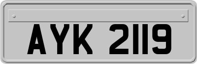 AYK2119