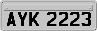 AYK2223
