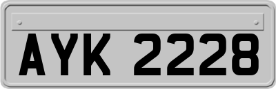 AYK2228