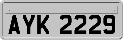 AYK2229