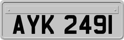 AYK2491
