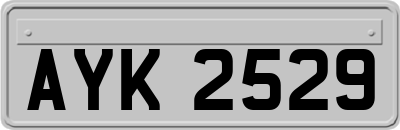 AYK2529