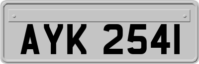 AYK2541