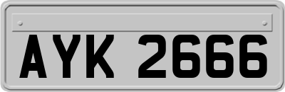 AYK2666