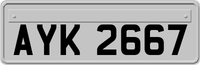AYK2667
