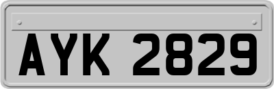 AYK2829