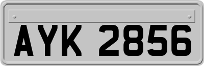 AYK2856