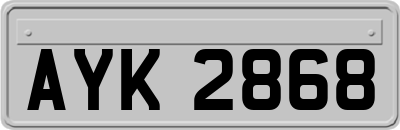 AYK2868