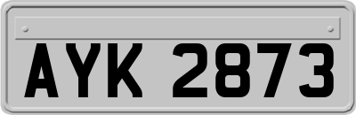 AYK2873