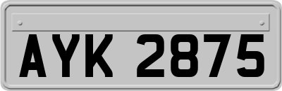 AYK2875