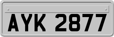 AYK2877