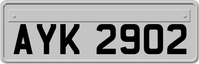 AYK2902