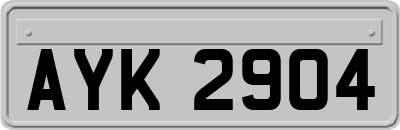 AYK2904