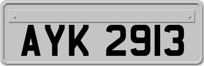 AYK2913