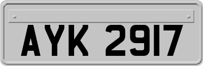 AYK2917