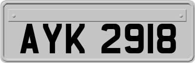 AYK2918
