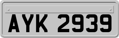 AYK2939