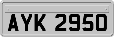 AYK2950