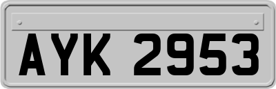 AYK2953