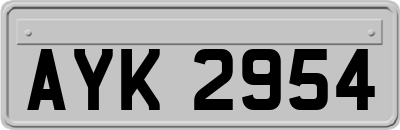 AYK2954