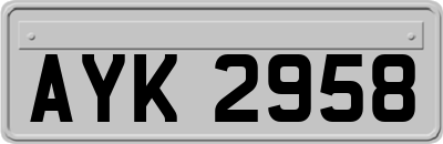 AYK2958