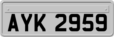 AYK2959