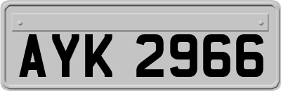 AYK2966