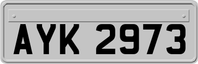 AYK2973