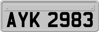 AYK2983