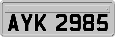 AYK2985