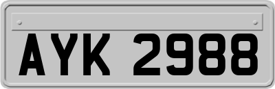 AYK2988