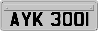 AYK3001
