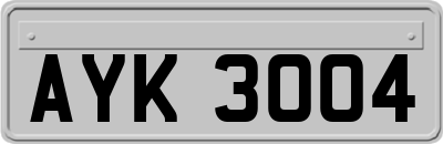 AYK3004