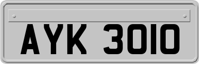 AYK3010