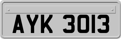 AYK3013
