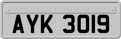 AYK3019