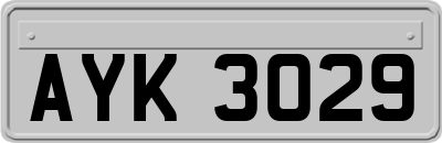 AYK3029