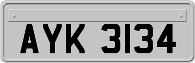 AYK3134
