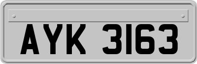 AYK3163