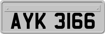 AYK3166