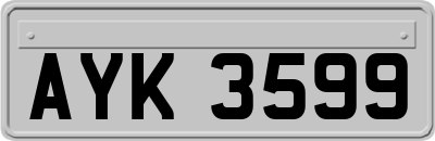 AYK3599