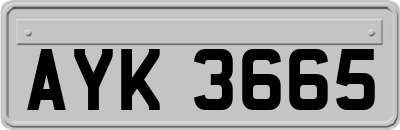 AYK3665