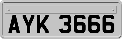 AYK3666