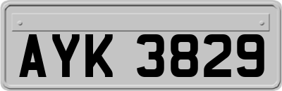 AYK3829