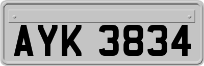 AYK3834